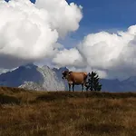 Ransburggut Gospodarstwo agroturystyczne