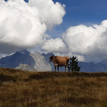 Ransburggut Κατάλυμα σε φάρμα