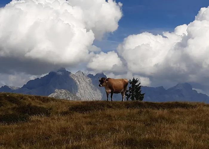 Ransburggut Farm stay