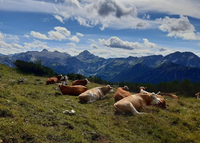 Gospodarstwo agroturystyczne Ransburggut *